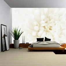 Wall26 - Loseup of Tender White Chrysanthemum Flower - CVS - 66x96 inches   113200448613